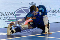 /album/copa-de-espana-granada-26/imag0024-jpg/