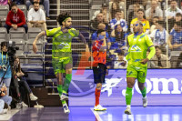 /album/copa-de-espana-granada-26/imag0282-jpg/