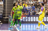 /album/copa-de-espana-granada-26/imag0298-jpg/