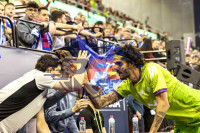 /album/copa-de-espana-granada-26/imag0348-jpg/