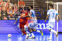 /album/copa-de-espana-granada-26/imag0349-jpg/