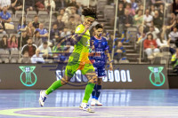 /album/copa-de-espana-granada-26/imag0398-jpg/