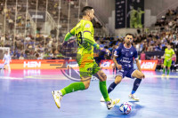 /album/copa-de-espana-granada-26/imag0701-jpg/