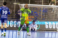 /album/copa-de-espana-granada-26/imag1252-jpg/