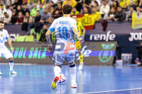 /album/copa-de-espana-granada-26/imag2249-jpg/