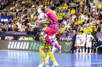 /album/copa-de-espana-granada-26/imag2350-jpg/