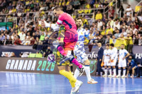 /album/copa-de-espana-granada-26/imag2351-jpg/