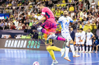 /album/copa-de-espana-granada-26/imag2352-jpg/