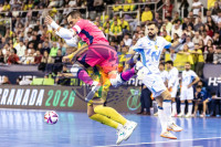 /album/copa-de-espana-granada-26/imag2353-jpg/