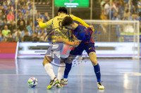 /album/copa-de-espana-granada-26/imag2832-jpg/