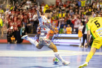 /album/copa-de-espana-granada-26/imag3094-jpg/