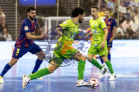 /album/copa-de-espana-granada-26/imag3639-jpg/