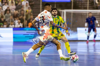 /album/copa-de-espana-granada-26/imag3790-jpg/