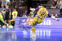 /album/copa-de-espana-granada-26/imag3954-jpg/