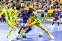 /album/copa-de-espana-granada-26/imag5350-jpg/